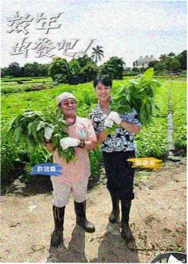 二次元综艺秀